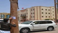 بيان صحفي: حملة “أوقفوا غرس النخيل وأكثروا من زراعة الأشجار بمدينة العيون”