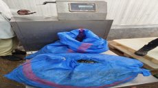 جماعة الداخلة ترفع دعوى قضائية ضد سائق شاحنة لنقل النفايات لتورطه في تهريب 95 كيلوغرامًا من الصدفيات