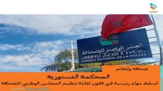 المحكمة الدستورية تُسقط مواد رئيسية في قانون إعادة تنظيم المجلس الوطني للصحافة