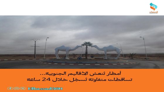 أمطار تُنعش الأقاليم الجنوبية… تساقطات متفاوتة تُسجَّل خلال 24 ساعة.