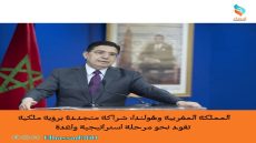 المملكة المغربية وهولندا: شراكة متجددة برؤية ملكية تقود نحو مرحلة استراتيجية واعدة